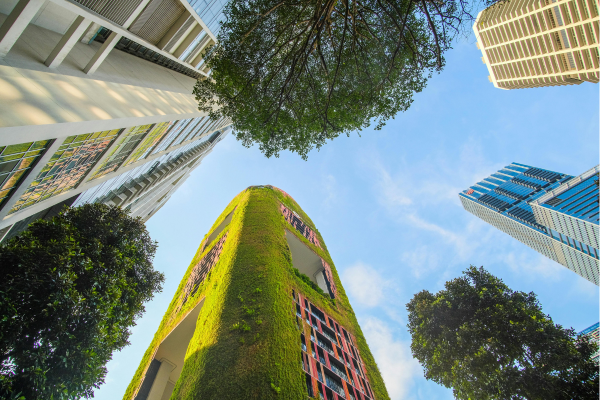 Abstract building architecture representing sustainability strategies